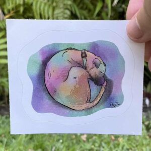 Sticker of a brown dog curled in a nap. colourfull ;ight baths the pup.