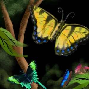 Image is a hand painted artwork of a yellow, green and blue butterfly flying in a eucalyptus forest. A few pink gum nuts saround the butterflys.